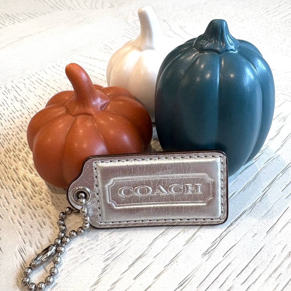 Coach Metallic Silver Keychain Tag